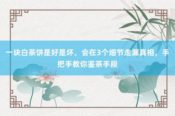 一块白茶饼是好是坏，会在3个细节走漏真相，手把手教你鉴茶手段