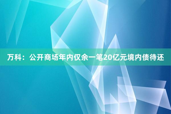 万科：公开商场年内仅余一笔20亿元境内债待还