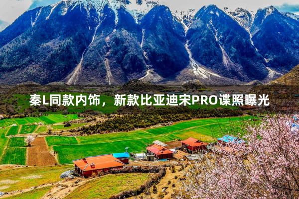 秦L同款内饰，新款比亚迪宋PRO谍照曝光