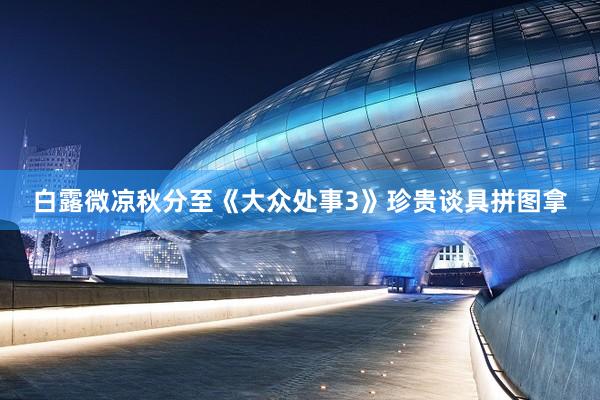 白露微凉秋分至《大众处事3》珍贵谈具拼图拿