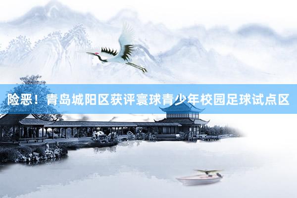 险恶！青岛城阳区获评寰球青少年校园足球试点区