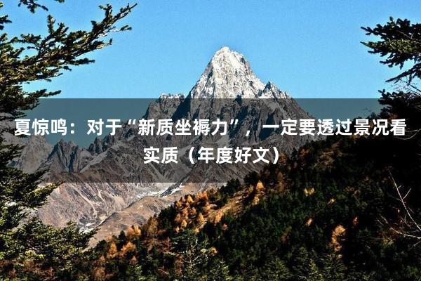夏惊鸣：对于“新质坐褥力”，一定要透过景况看实质（年度好文）