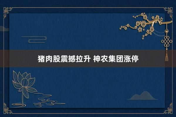 猪肉股震撼拉升 神农集团涨停