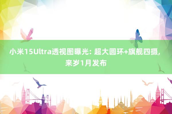 小米15Ultra透视图曝光: 超大圆环+旗舰四摄, 来岁1月发布