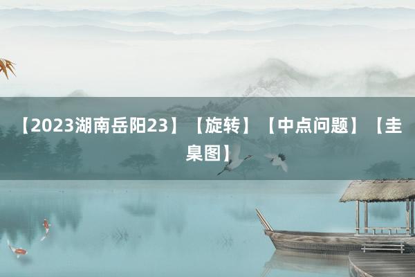 【2023湖南岳阳23】【旋转】【中点问题】【圭臬图】