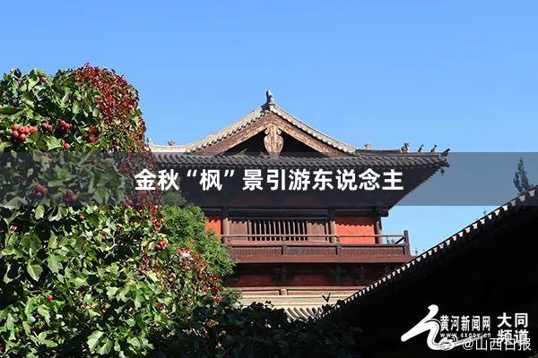 金秋“枫”景引游东说念主