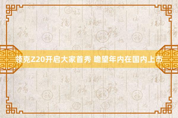 领克Z20开启大家首秀 瞻望年内在国内上市